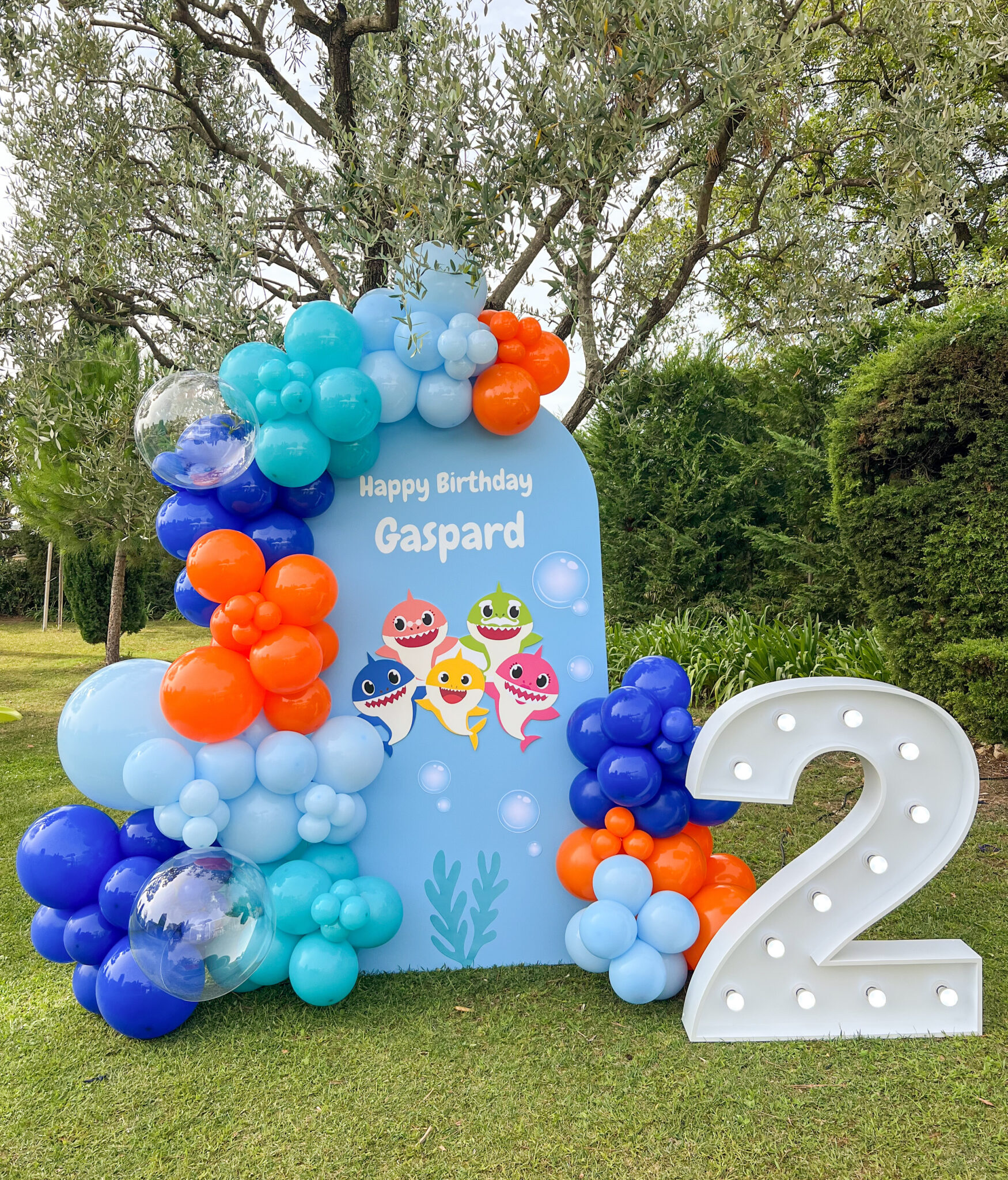 anniversaire enfant Cannes thème 2 ans
