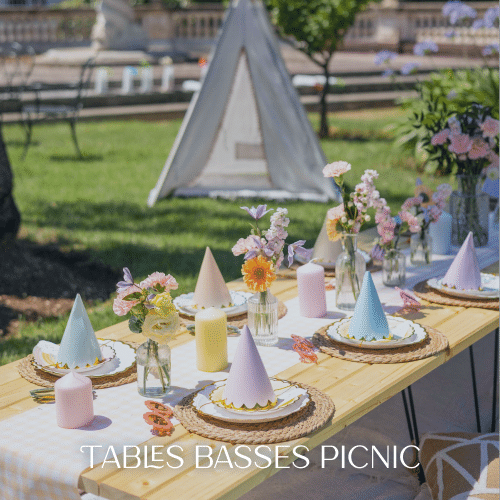 Tables basses picnic