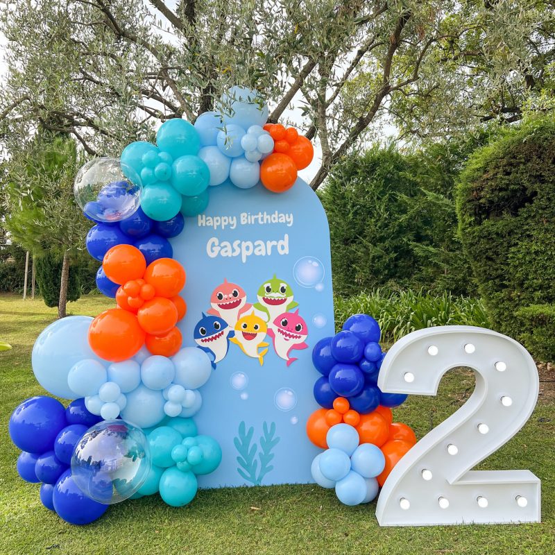 anniversaire enfant Cannes thème 2 ans