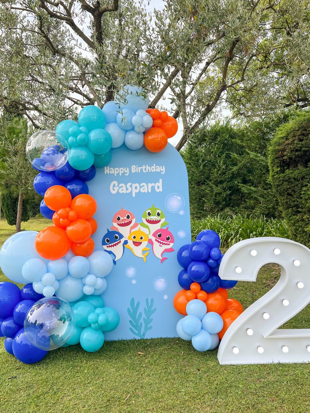 anniversaire enfant Cannes thème 2 ans